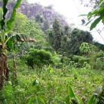 Bobikuma mountain